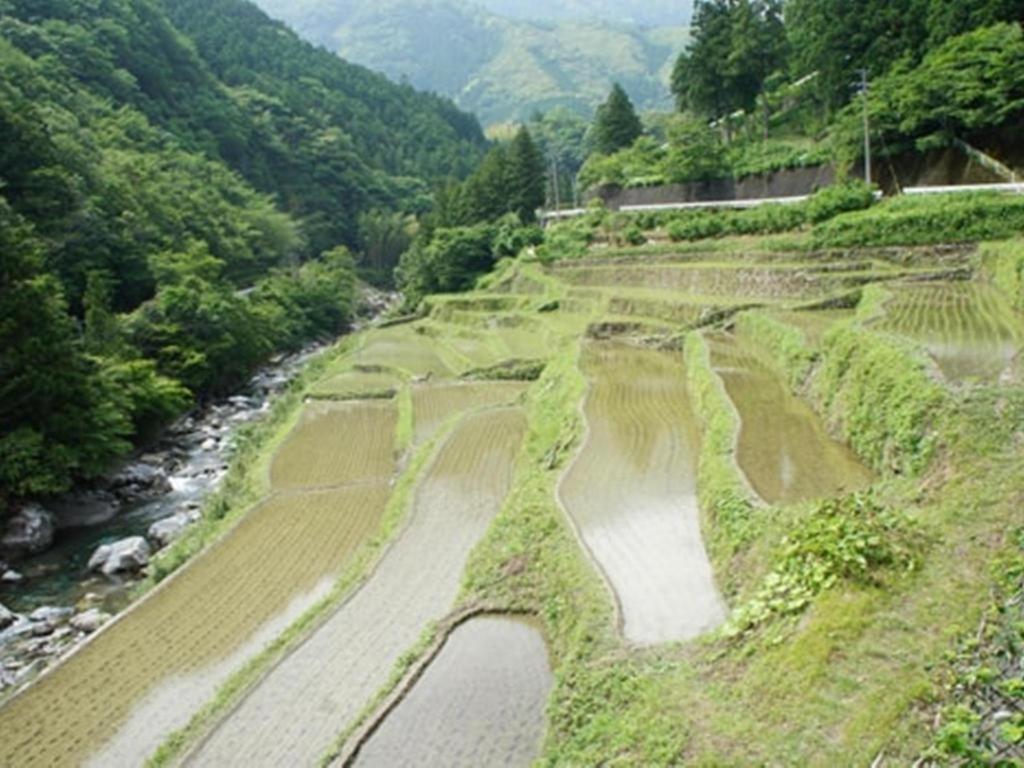 Auberge Tosayama Kōchi Eksteriør billede